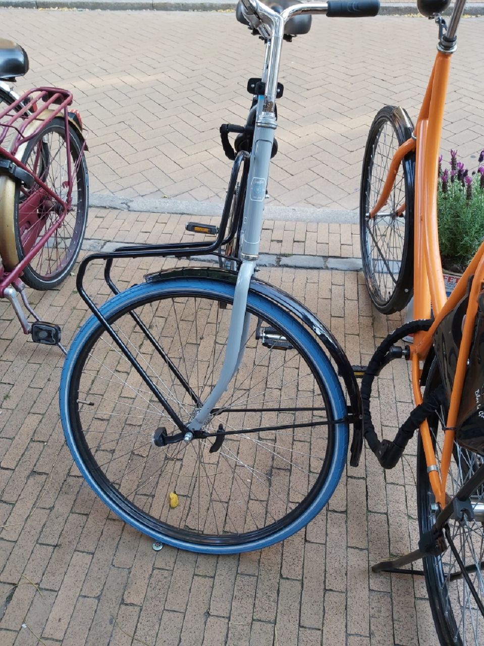 24.8. 1