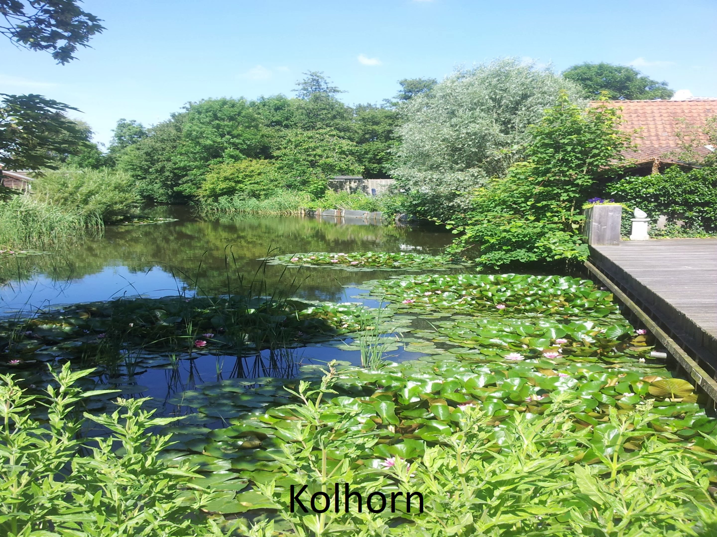 Kolhorn